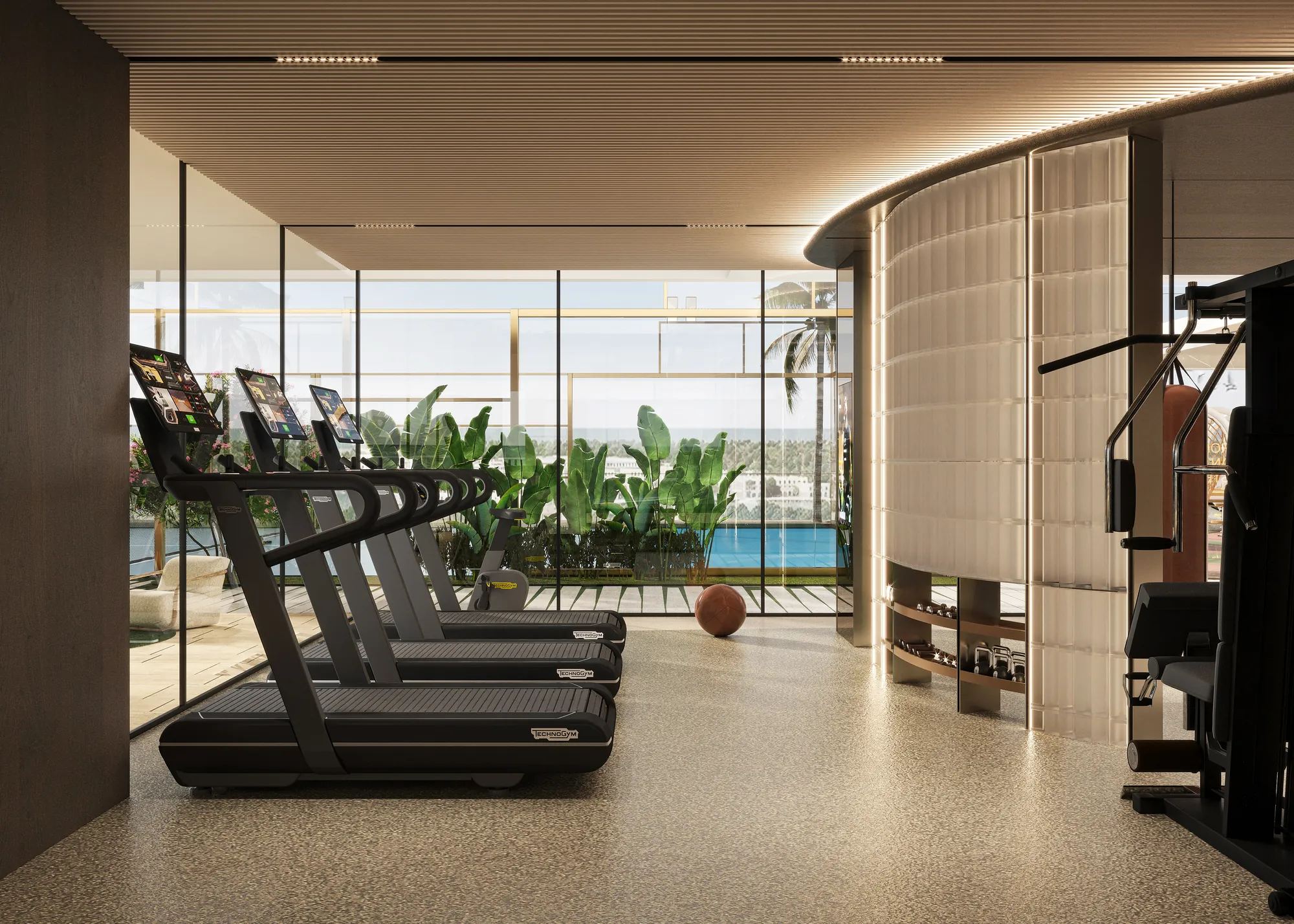Gym view 6